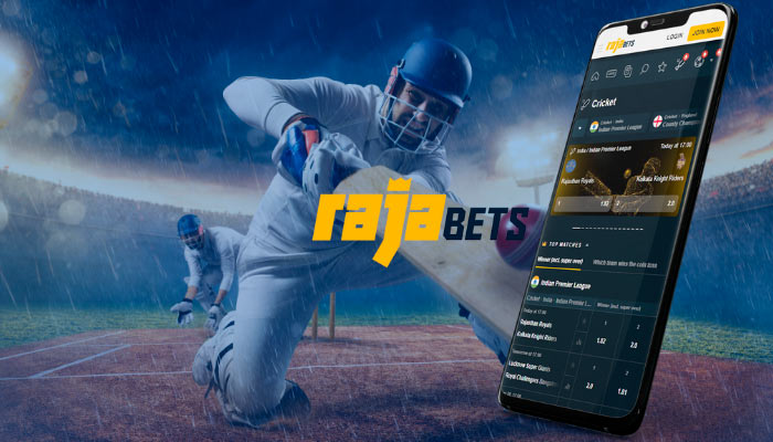 Rajabets app has a user-friendly interface and is highly optimized for mobile users